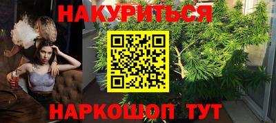 spice Норильск