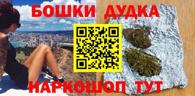 прущие грибы Ноябрьск