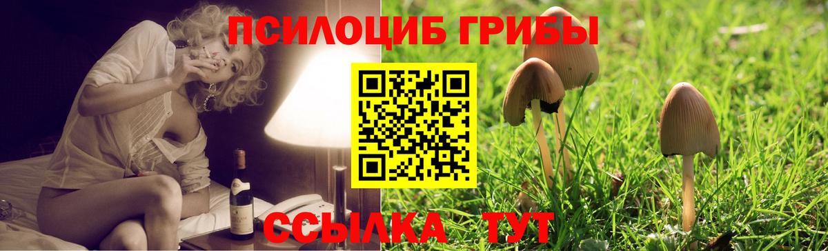 Псилоцибиновые грибы Psilocybine cubensis Боровичи
